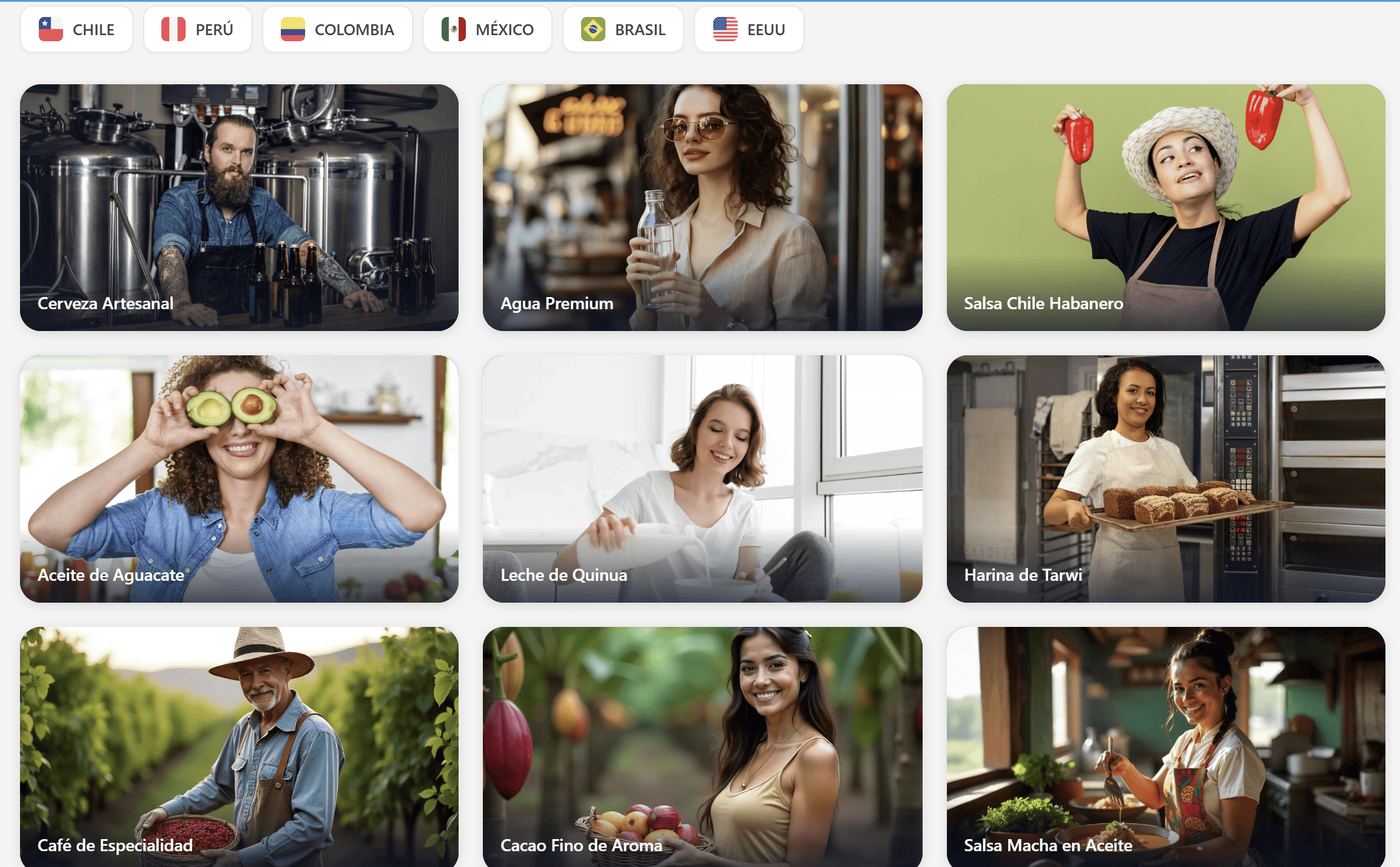 Mercados y productos de CEOSim Core