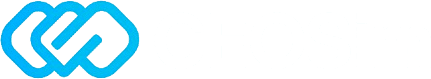 CEOSim